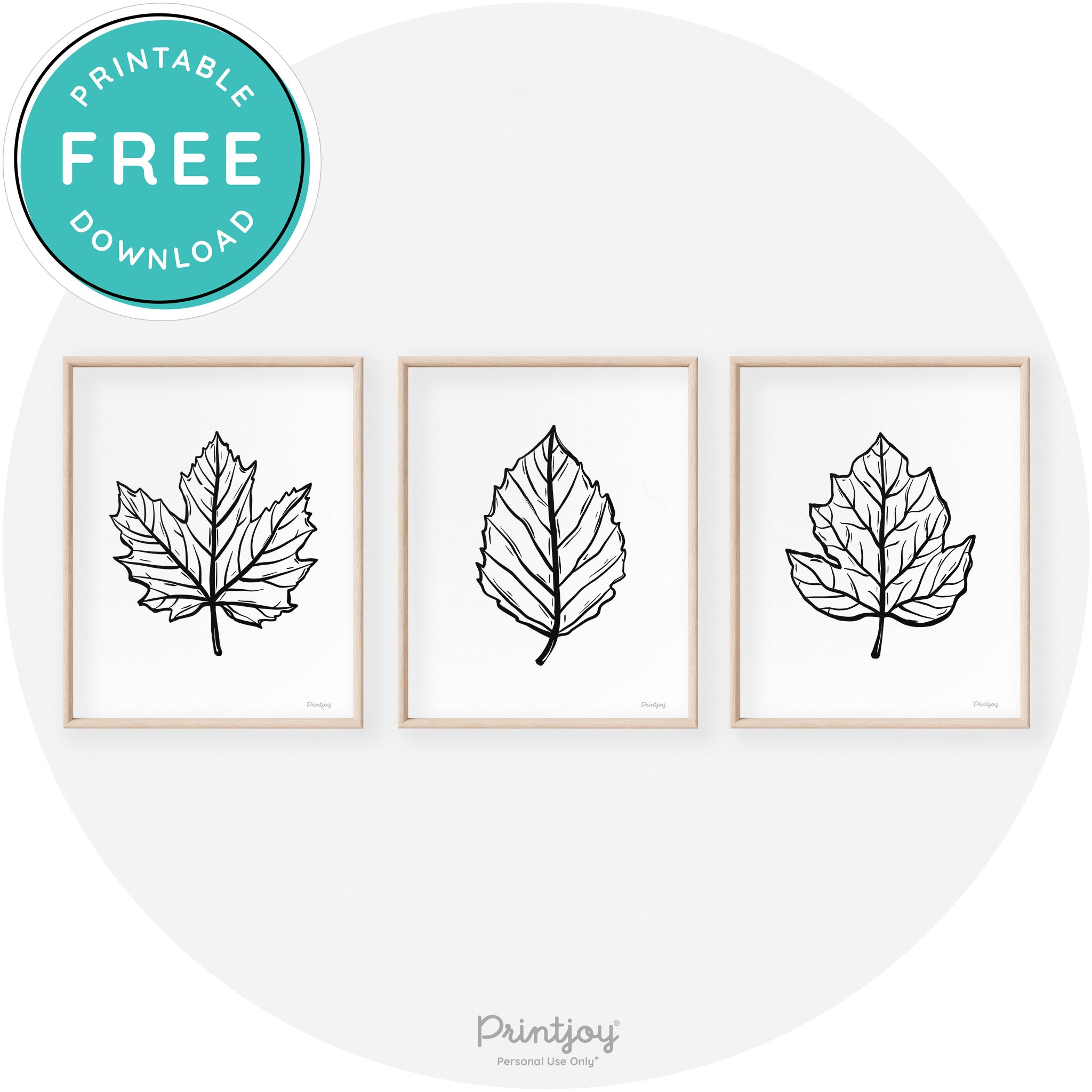 Fall Leaf Drawings Set of 3 Modern Transitional Wall Art Free Printable - Printjoy