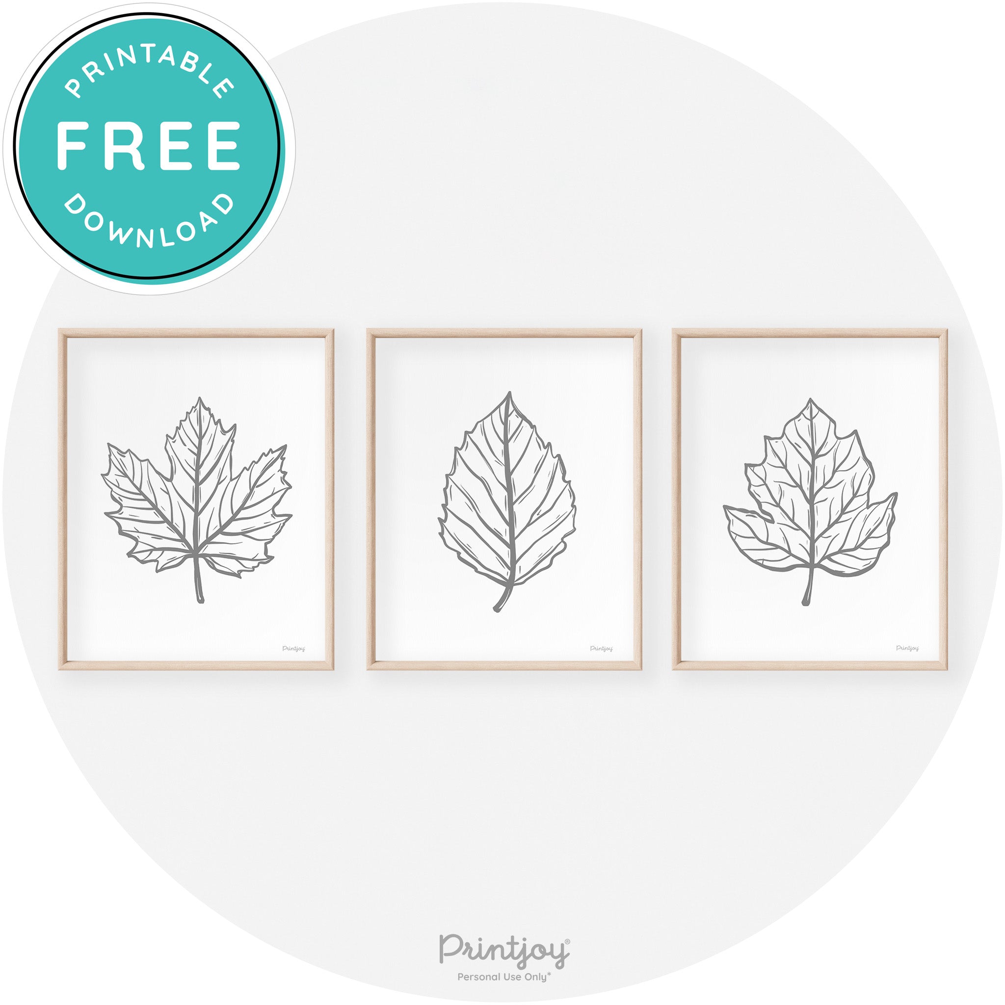 Fall Leaf Drawings Set of 3 Modern Transitional Wall Art Free Printable - Printjoy
