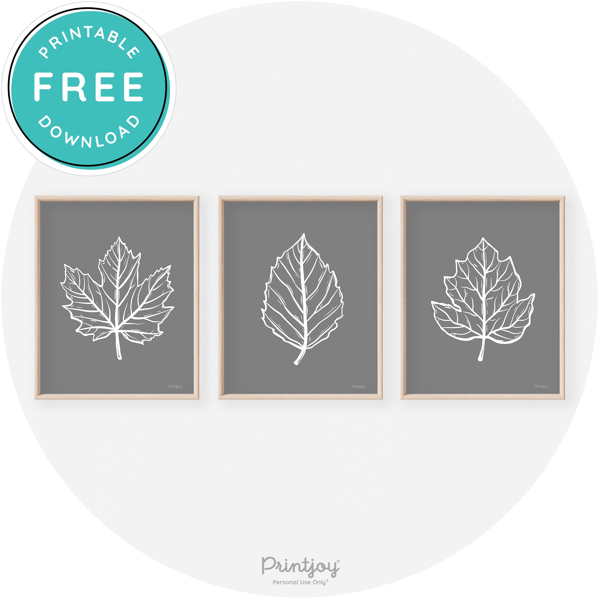 Fall Leaf Drawings Set of 3 Modern Transitional Wall Art Free Printable - Printjoy
