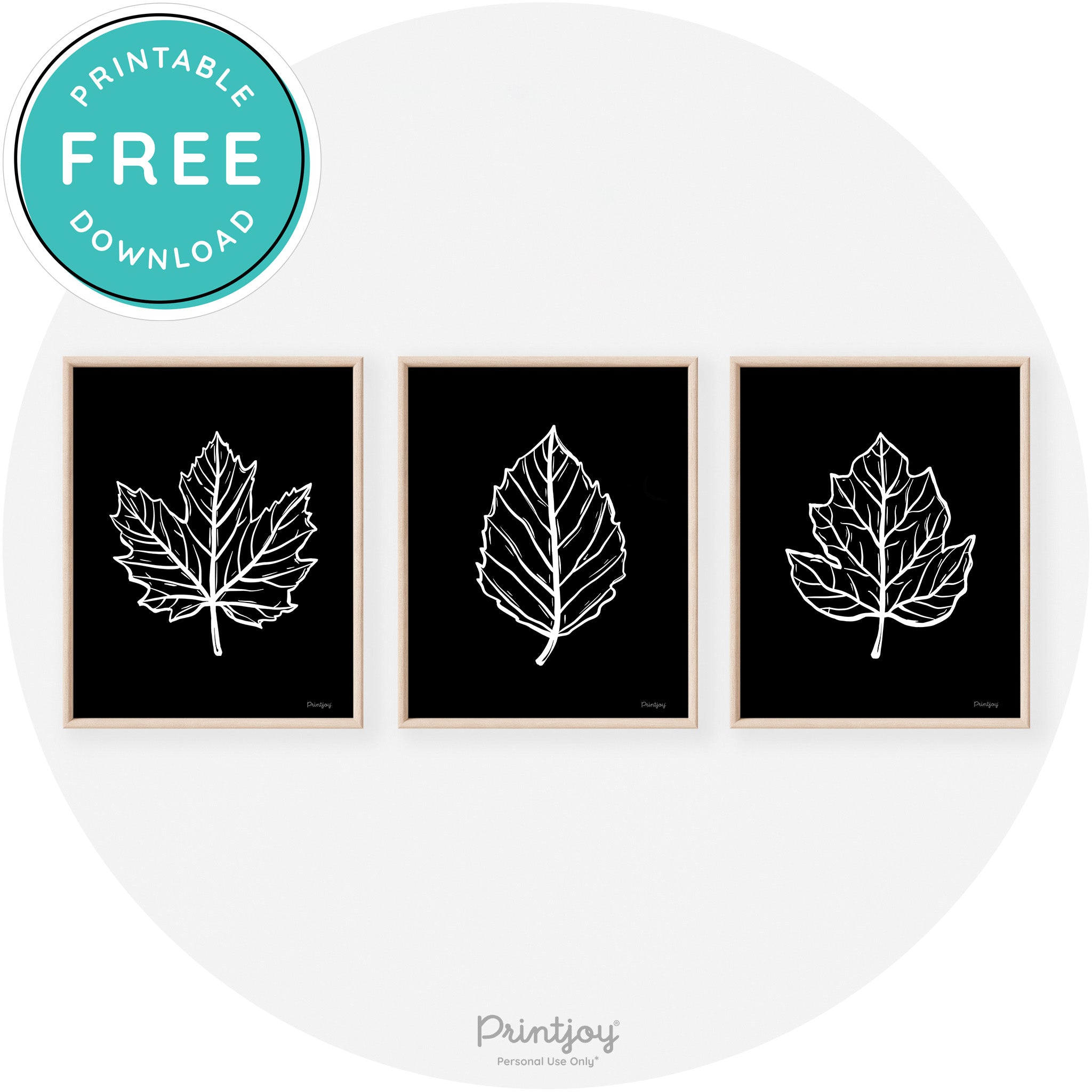 Fall Leaf Drawings Set of 3 Modern Transitional Wall Art Free Printable - Printjoy