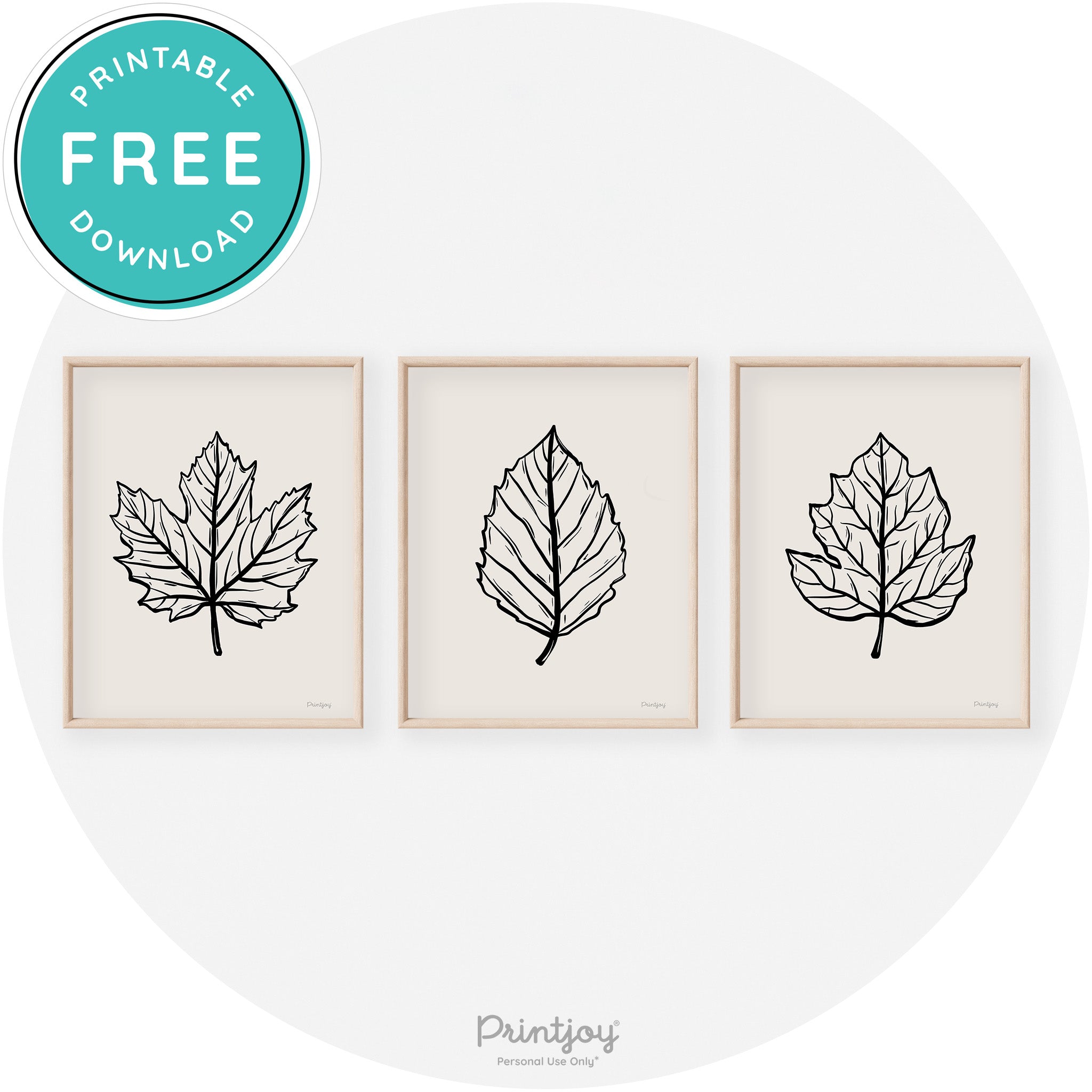 Fall Leaf Drawings Set of 3 Modern Transitional Wall Art Free Printable - Printjoy
