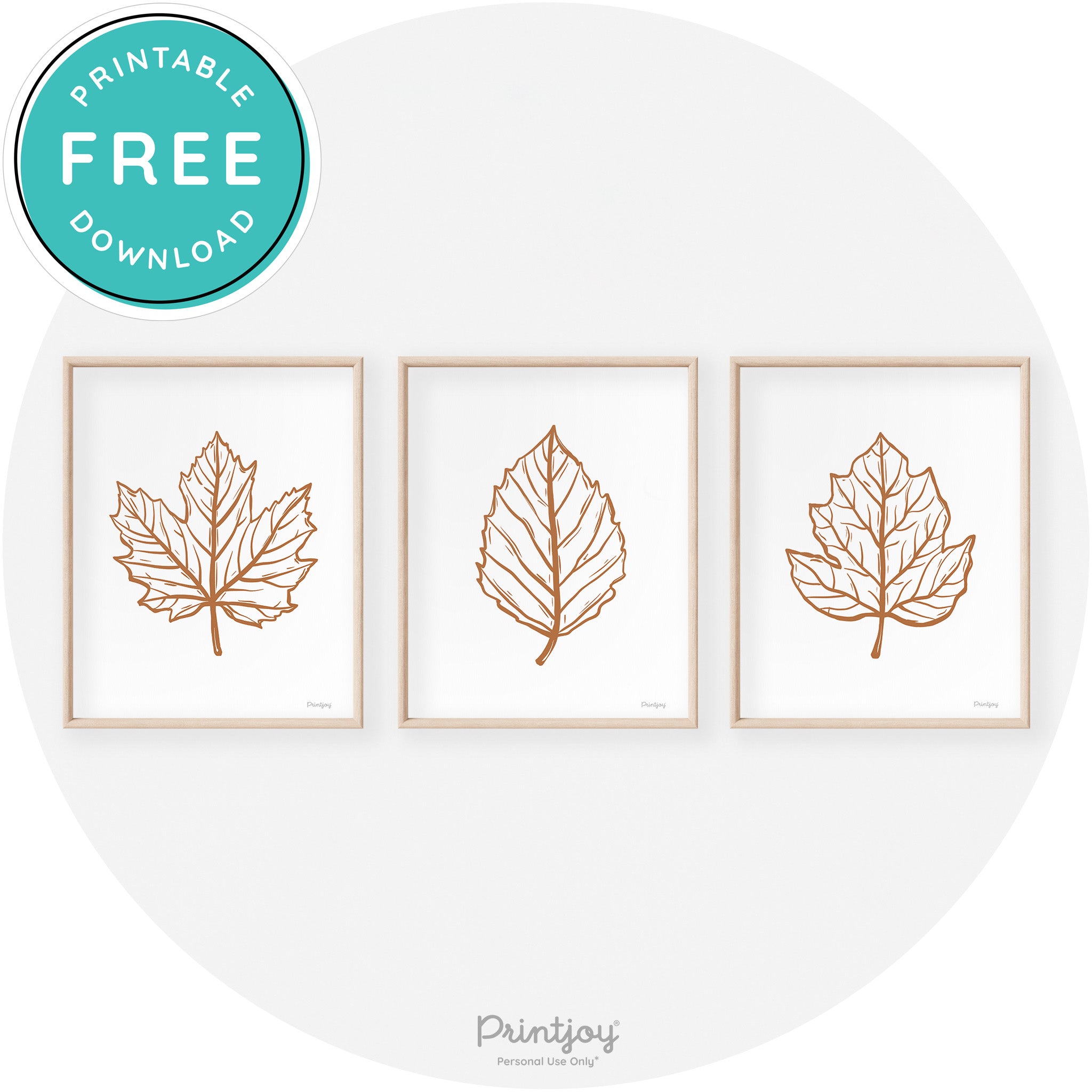 Fall Leaf Drawings Set of 3 Modern Transitional Wall Art Free Printable - Printjoy